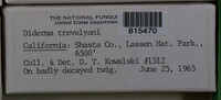Image Associated With the Occurence